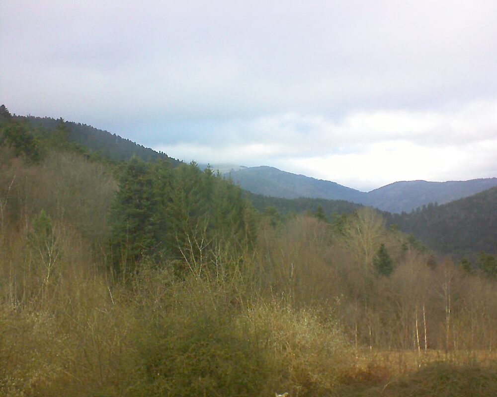 Le petit ballon vu depuis le Domaine Langmatt à Murbach le 06.02.2024 à 15:15 Le petit ballon (Alsace, Vosges) le 06.02.2024 à 15:15