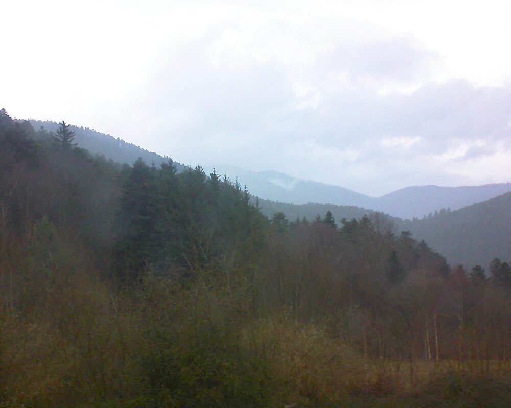Le petit ballon vu depuis le Domaine Langmatt à Murbach le 07.02.2024 à 12:30 Le petit ballon (Alsace, Vosges) le 07.02.2024 à 12:30