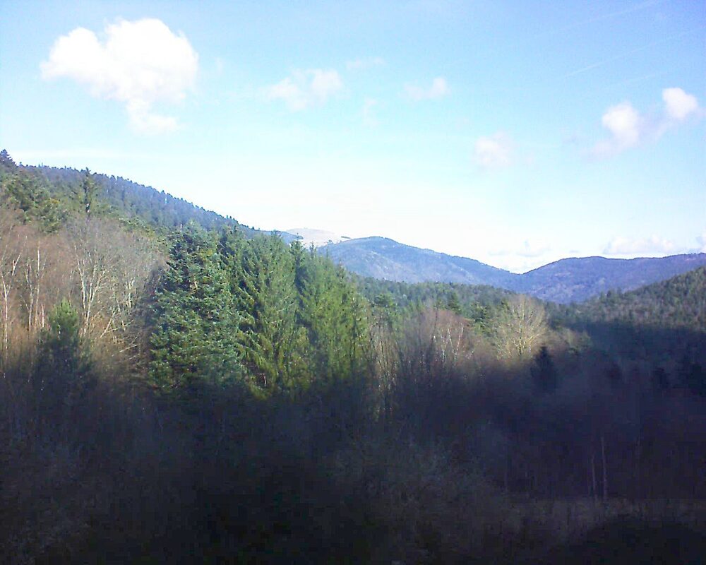 Le petit ballon vu depuis le Domaine Langmatt à Murbach le 13.02.2024 à 10:30 Le petit ballon (Alsace, Vosges) le 13.02.2024 à 10:30