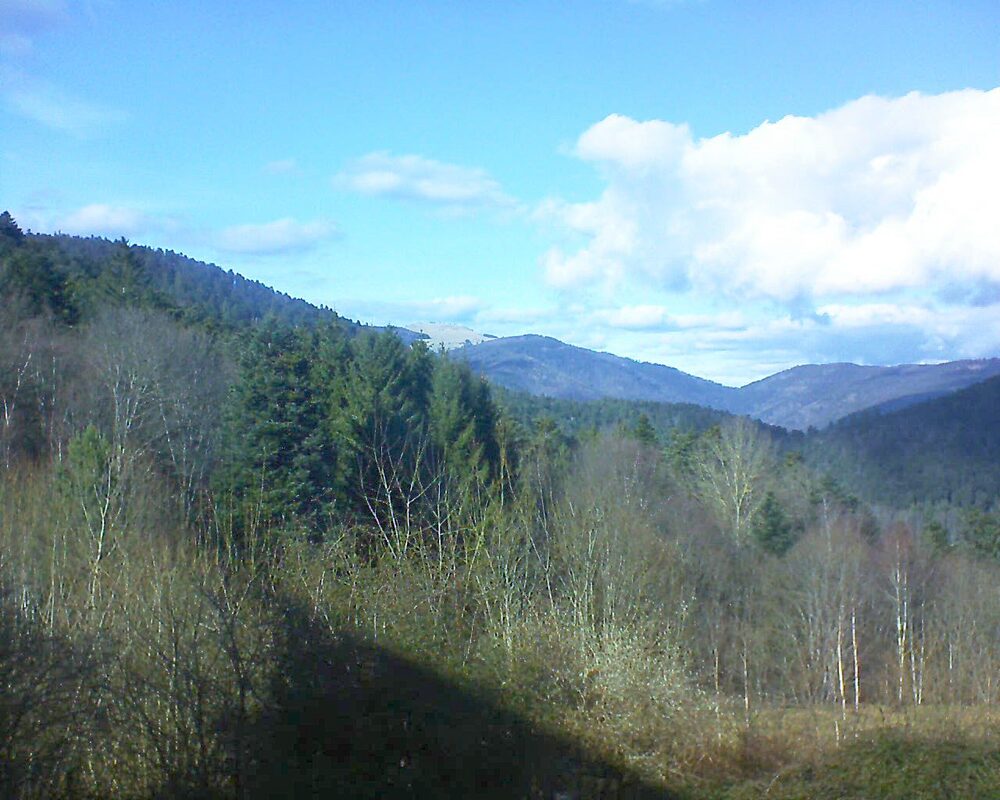Le petit ballon vu depuis le Domaine Langmatt à Murbach le 13.02.2024 à 14:30 Le petit ballon (Alsace, Vosges) le 13.02.2024 à 14:30