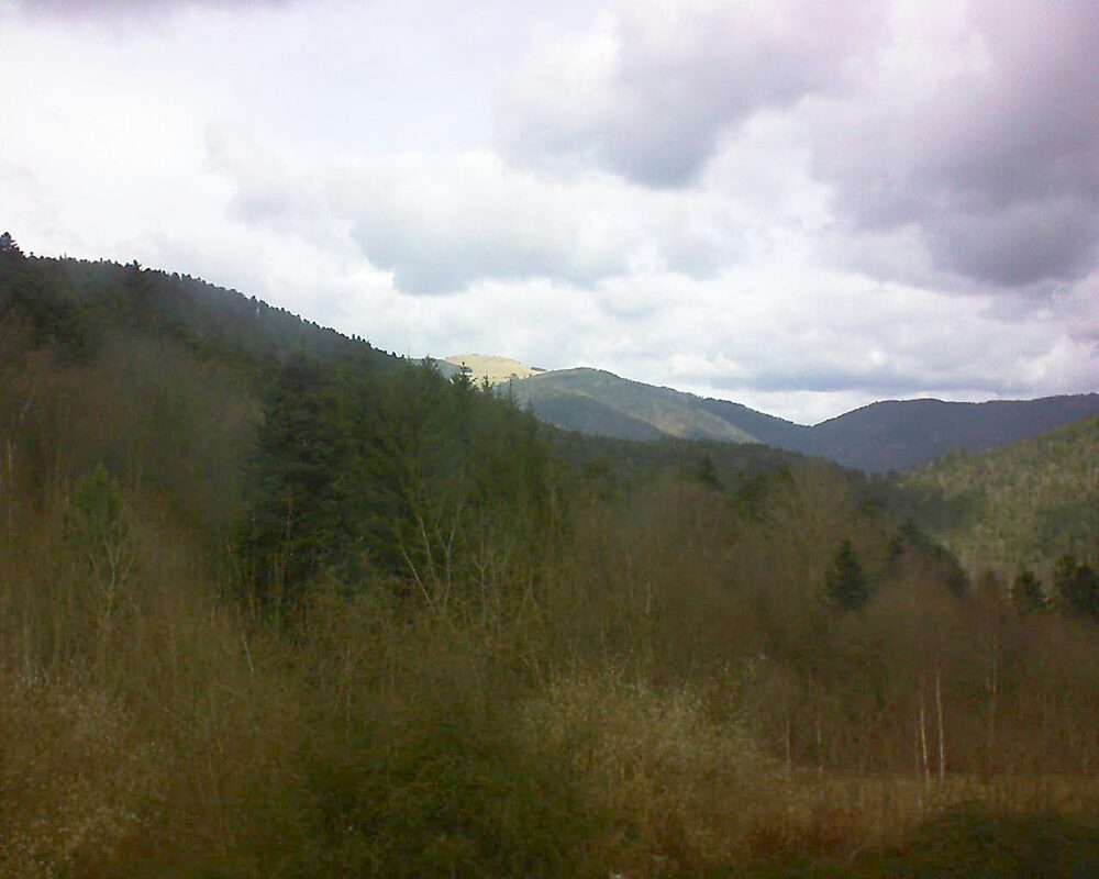 Le petit ballon vu depuis le Domaine Langmatt à Murbach le 20.02.2024 à 12:30 Le petit ballon (Alsace, Vosges) le 20.02.2024 à 12:30