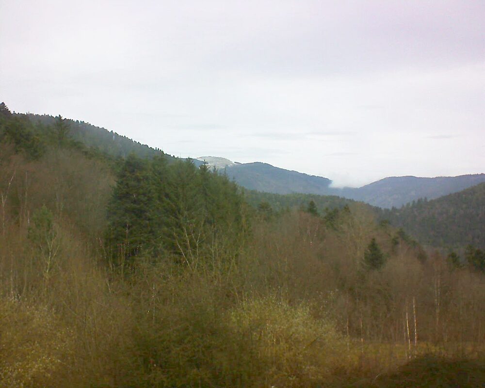 Le petit ballon vu depuis le Domaine Langmatt à Murbach le 27.02.2024 à 11:30 Le petit ballon (Alsace, Vosges) le 27.02.2024 à 11:30
