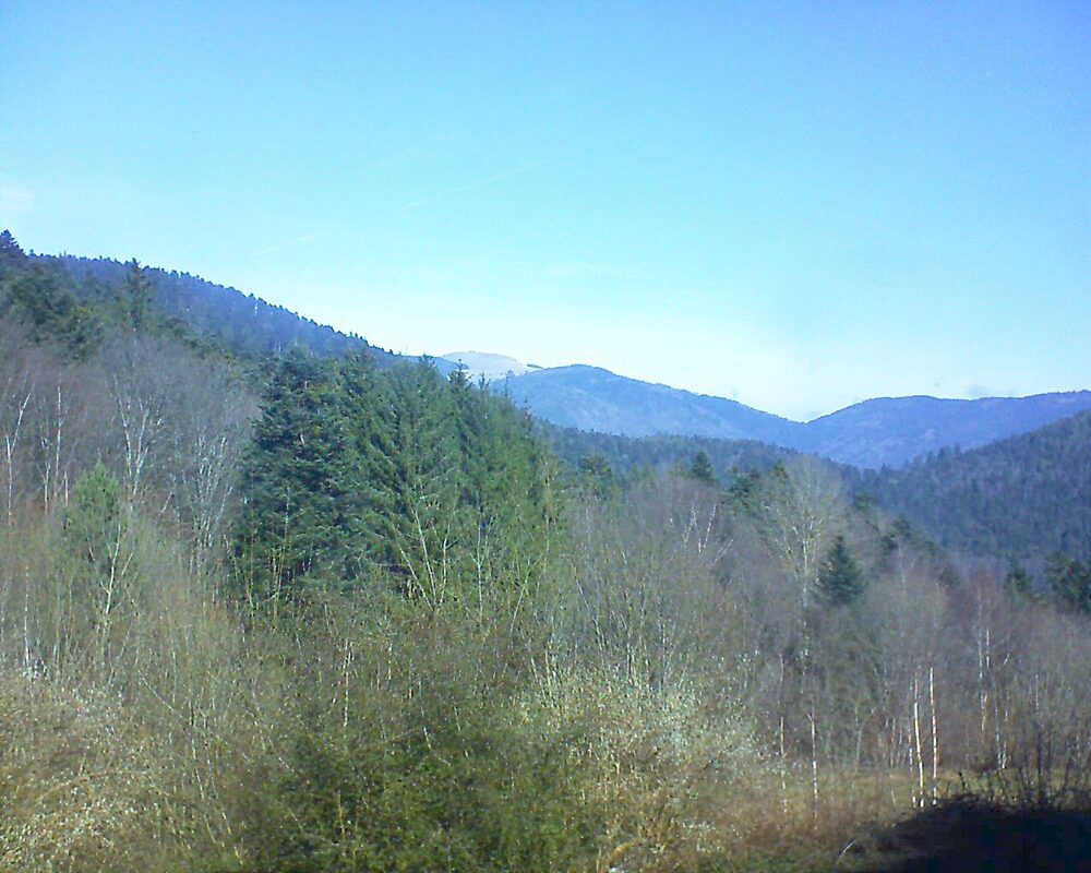 Le petit ballon vu depuis le Domaine Langmatt à Murbach le 28.02.2024 à 11:30 Le petit ballon (Alsace, Vosges) le 28.02.2024 à 11:30