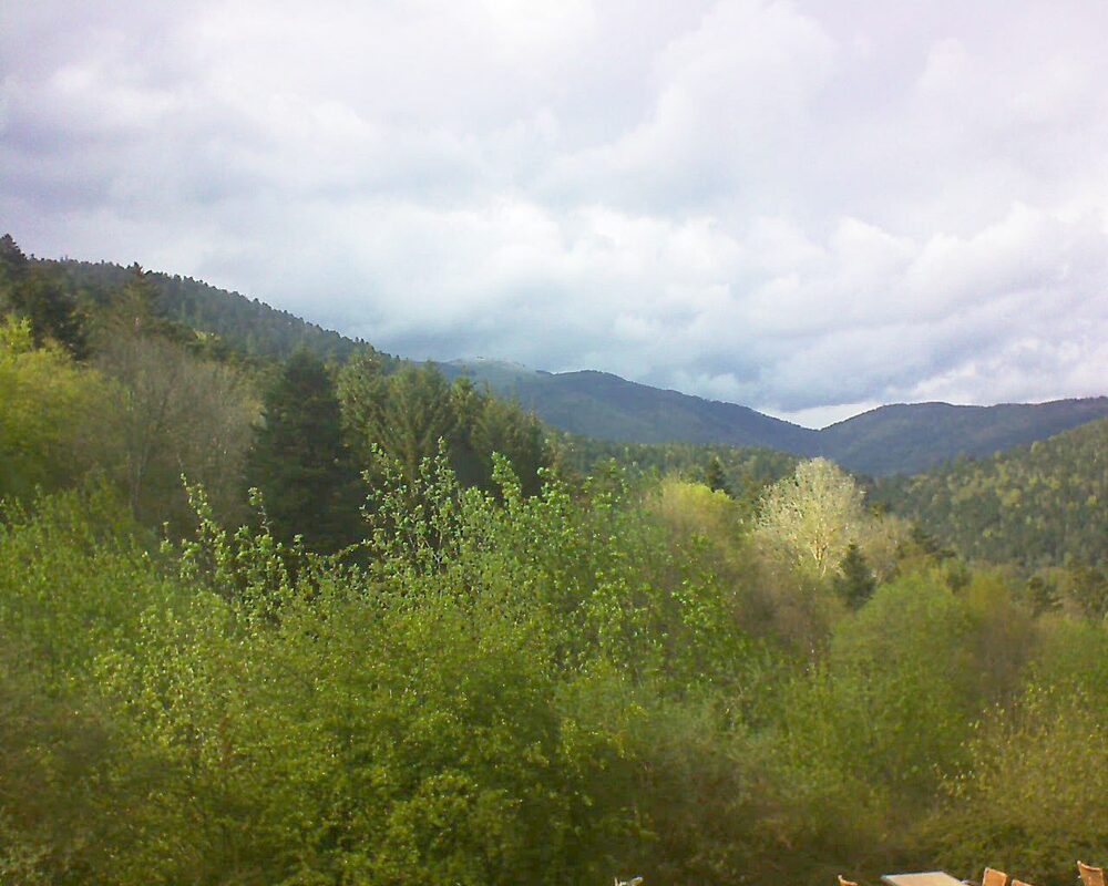 Le petit ballon vu depuis le Domaine Langmatt à Murbach le 17.04.2024 à 17:00 Le petit ballon (Alsace, Vosges) le 17.04.2024 à 17:00
