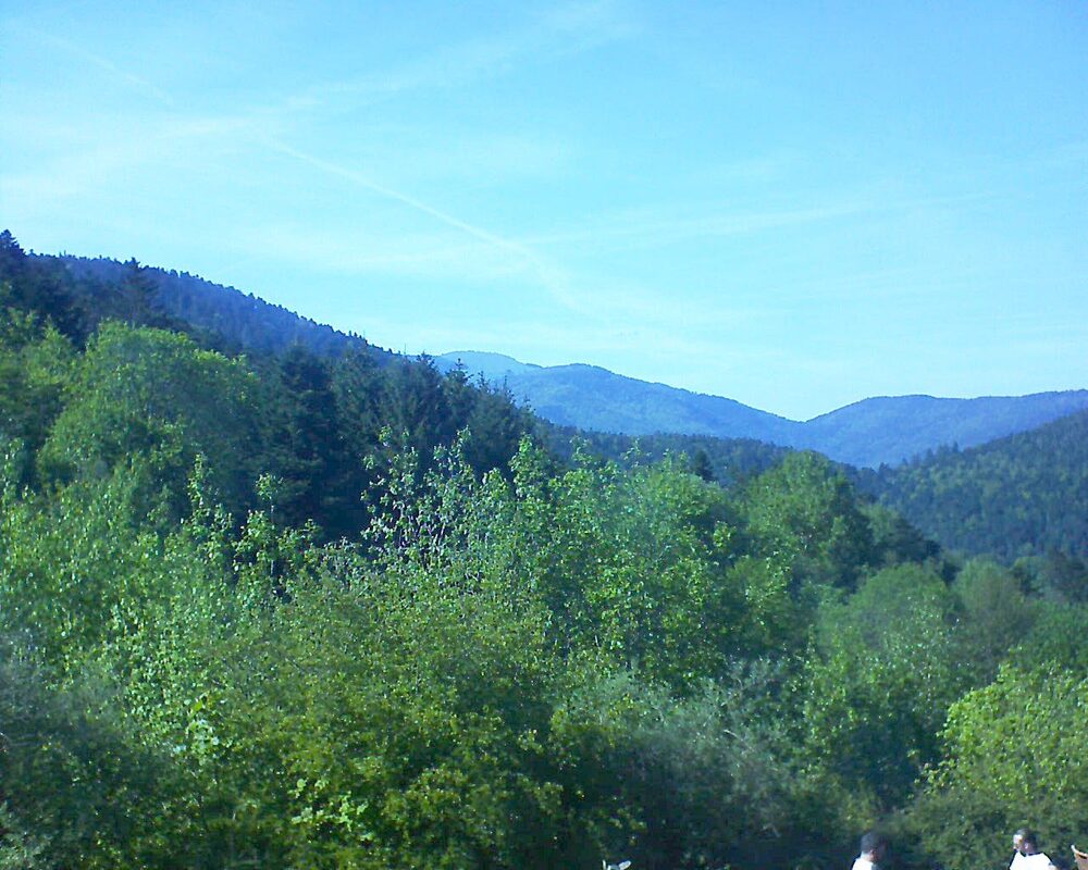 Le petit ballon vu depuis le Domaine Langmatt à Murbach le 10.05.2024 à 17:00 Le petit ballon (Alsace, Vosges) le 10.05.2024 à 17:00