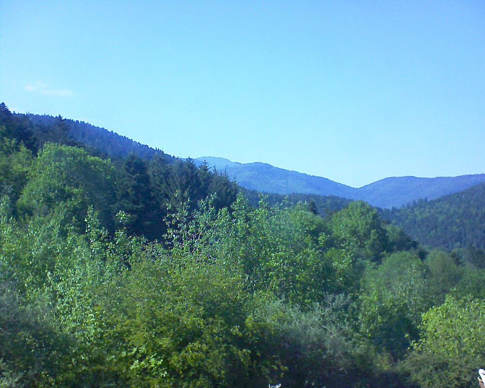 Le petit ballon vu depuis le Domaine Langmatt à Murbach le 11.05.2024 à 17:00 Le petit ballon (Alsace, Vosges) le 11.05.2024 à 17:00