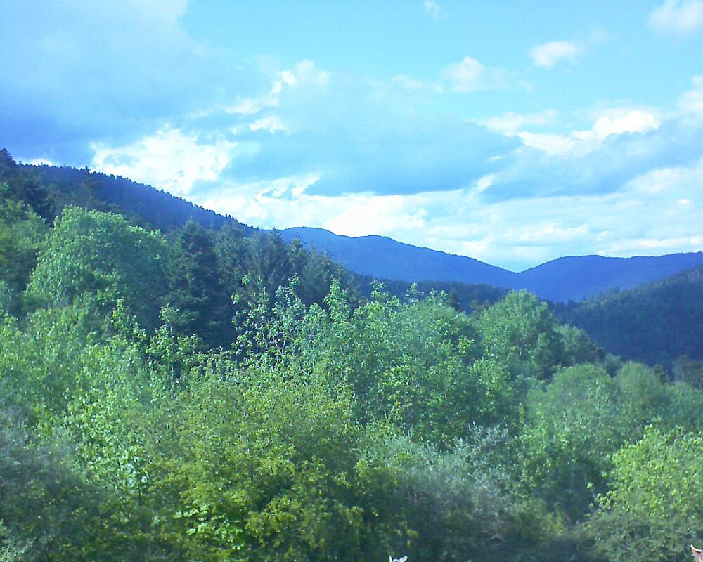 Le petit ballon vu depuis le Domaine Langmatt à Murbach le 13.05.2024 à 17:00 Le petit ballon (Alsace, Vosges) le 13.05.2024 à 17:00