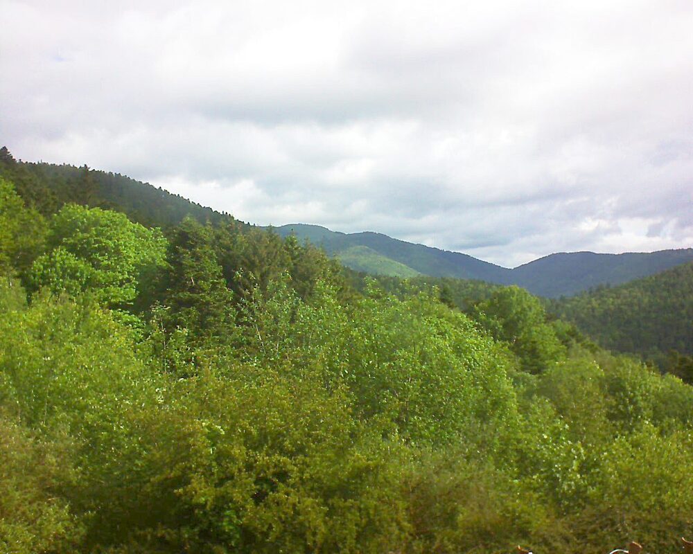 Le petit ballon vu depuis le Domaine Langmatt à Murbach le 19.05.2024 à 09:45 Le petit ballon (Alsace, Vosges) le 19.05.2024 à 09:45