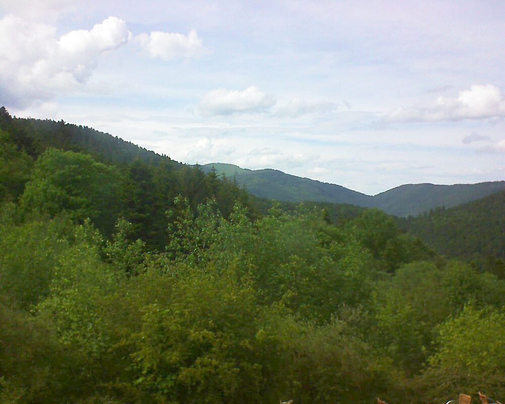 Le petit ballon vu depuis le Domaine Langmatt à Murbach le 20.05.2024 à 17:00 Le petit ballon (Alsace, Vosges) le 20.05.2024 à 17:00