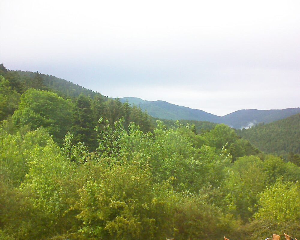 Le petit ballon vu depuis le Domaine Langmatt à Murbach le 24.05.2024 à 16:45 Le petit ballon (Alsace, Vosges) le 24.05.2024 à 16:45