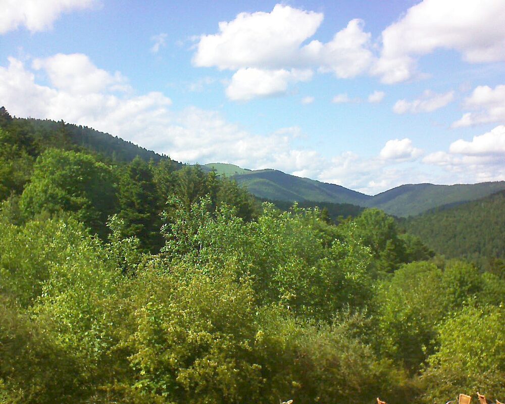 Le petit ballon vu depuis le Domaine Langmatt à Murbach le 28.05.2024 à 16:45 Le petit ballon (Alsace, Vosges) le 28.05.2024 à 16:45