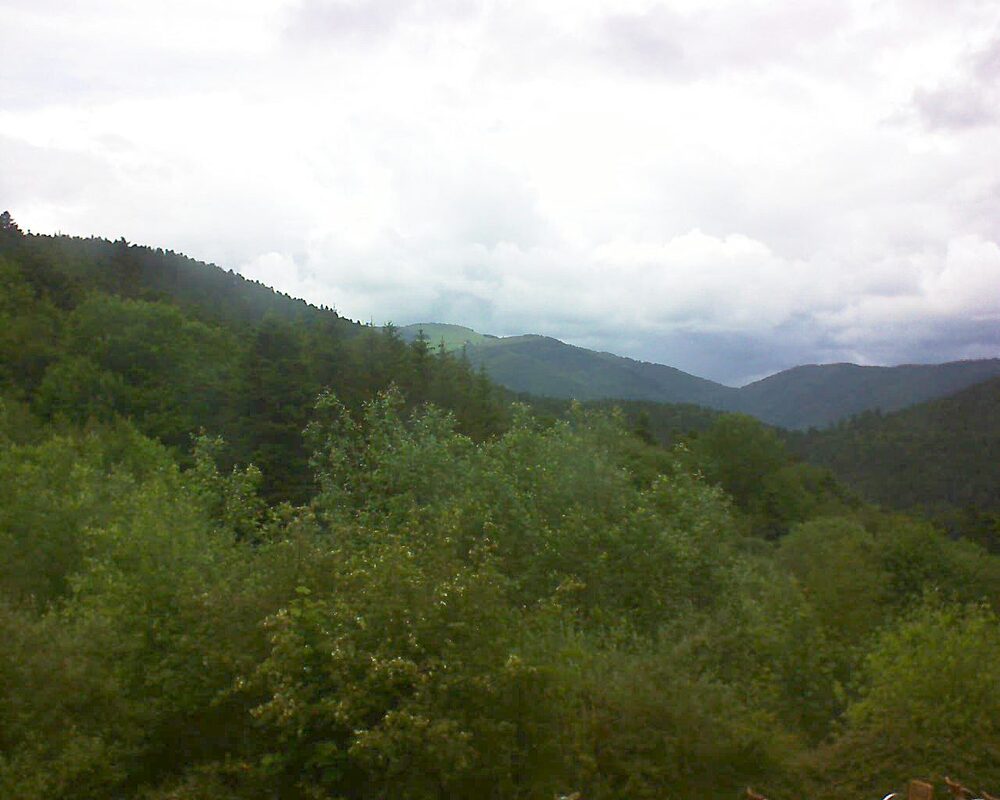 Le petit ballon vu depuis le Domaine Langmatt à Murbach le 31.05.2024 à 15:45 Le petit ballon (Alsace, Vosges) le 31.05.2024 à 15:45