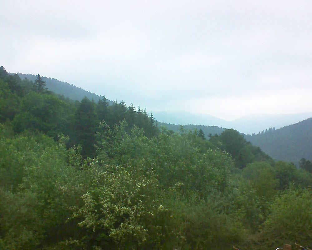 Le petit ballon vu depuis le Domaine Langmatt à Murbach le 03.06.2024 à 20:00 Le petit ballon (Alsace, Vosges) le 03.06.2024 à 20:00