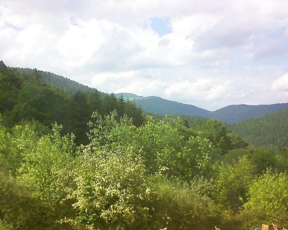 Le petit ballon vu depuis le Domaine Langmatt à Murbach le 04.06.2024 à 17:00 Le petit ballon (Alsace, Vosges) le 04.06.2024 à 17:00