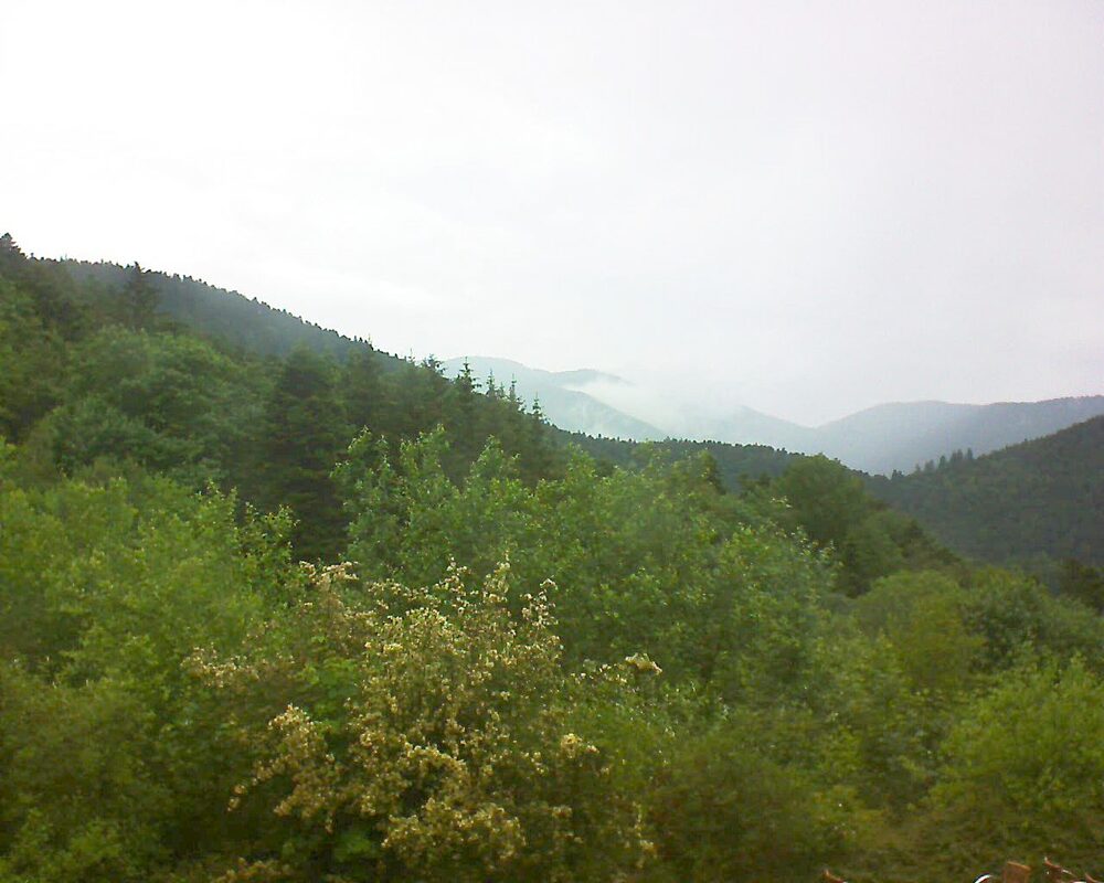 Le petit ballon vu depuis le Domaine Langmatt à Murbach le 08.06.2024 à 13:45 Le petit ballon (Alsace, Vosges) le 08.06.2024 à 13:45
