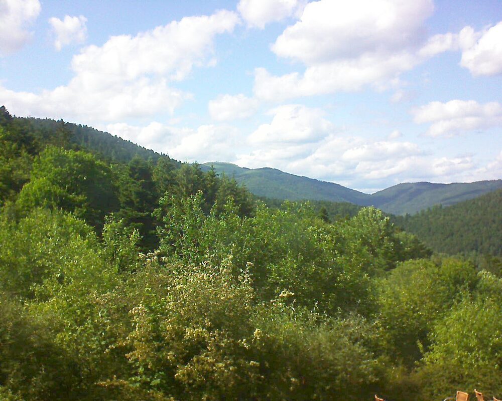 Le petit ballon vu depuis le Domaine Langmatt à Murbach le 10.06.2024 à 17:00 Le petit ballon (Alsace, Vosges) le 10.06.2024 à 17:00