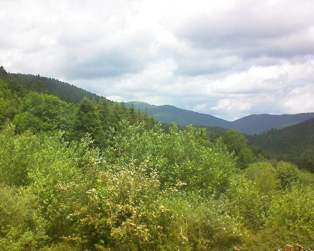 Le petit ballon vu depuis le Domaine Langmatt à Murbach le 11.06.2024 à 12:45 Le petit ballon (Alsace, Vosges) le 11.06.2024 à 12:45