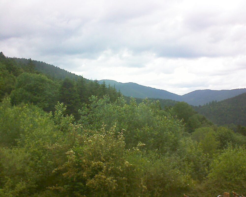 Le petit ballon vu depuis le Domaine Langmatt à Murbach le 11.06.2024 à 13:45 Le petit ballon (Alsace, Vosges) le 11.06.2024 à 13:45