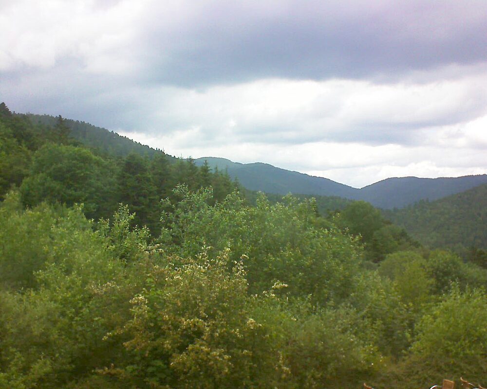 Le petit ballon vu depuis le Domaine Langmatt à Murbach le 11.06.2024 à 14:00 Le petit ballon (Alsace, Vosges) le 11.06.2024 à 14:00