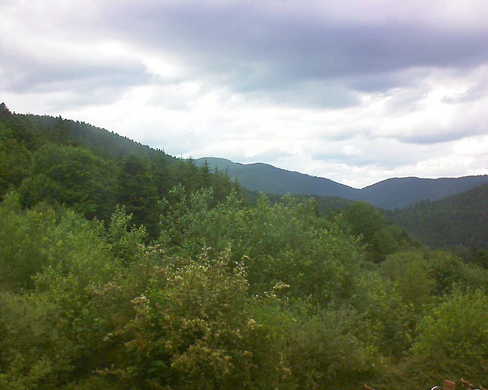 Le petit ballon vu depuis le Domaine Langmatt à Murbach le 11.06.2024 à 16:00 Le petit ballon (Alsace, Vosges) le 11.06.2024 à 16:00