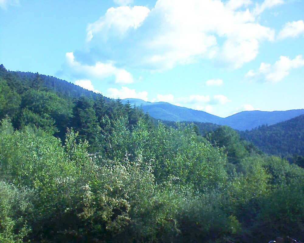 Le petit ballon vu depuis le Domaine Langmatt à Murbach le 12.06.2024 à 08:45 Le petit ballon (Alsace, Vosges) le 12.06.2024 à 08:45