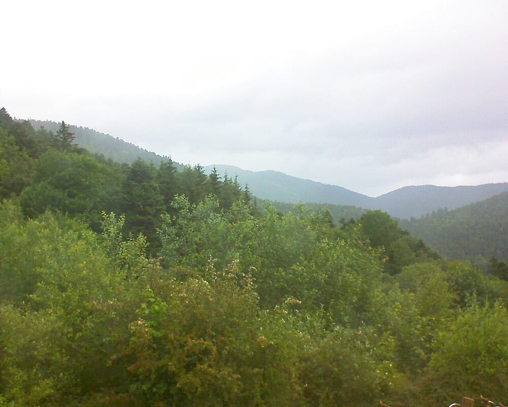 Le petit ballon vu depuis le Domaine Langmatt à Murbach le 15.06.2024 à 10:45 Le petit ballon (Alsace, Vosges) le 15.06.2024 à 10:45