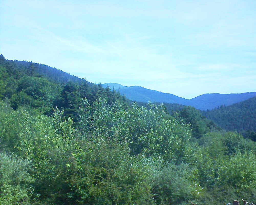 Le petit ballon vu depuis le Domaine Langmatt à Murbach le 18.06.2024 à 10:45 Le petit ballon (Alsace, Vosges) le 18.06.2024 à 10:45