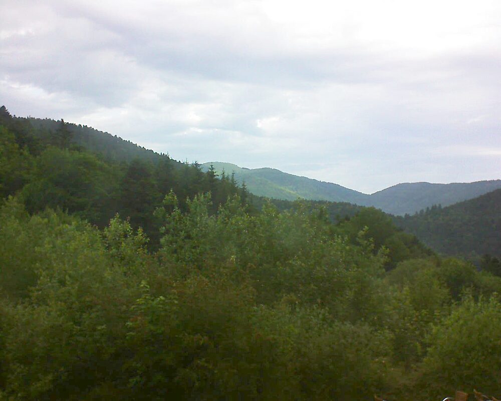 Le petit ballon vu depuis le Domaine Langmatt à Murbach le 19.06.2024 à 08:45 Le petit ballon (Alsace, Vosges) le 19.06.2024 à 08:45
