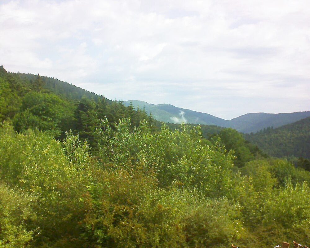 Le petit ballon vu depuis le Domaine Langmatt à Murbach le 19.06.2024 à 09:45 Le petit ballon (Alsace, Vosges) le 19.06.2024 à 09:45