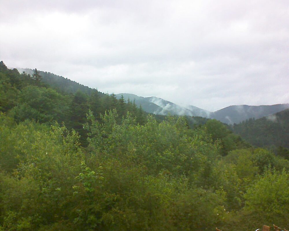 Le petit ballon vu depuis le Domaine Langmatt à Murbach le 22.06.2024 à 12:45 Le petit ballon (Alsace, Vosges) le 22.06.2024 à 12:45