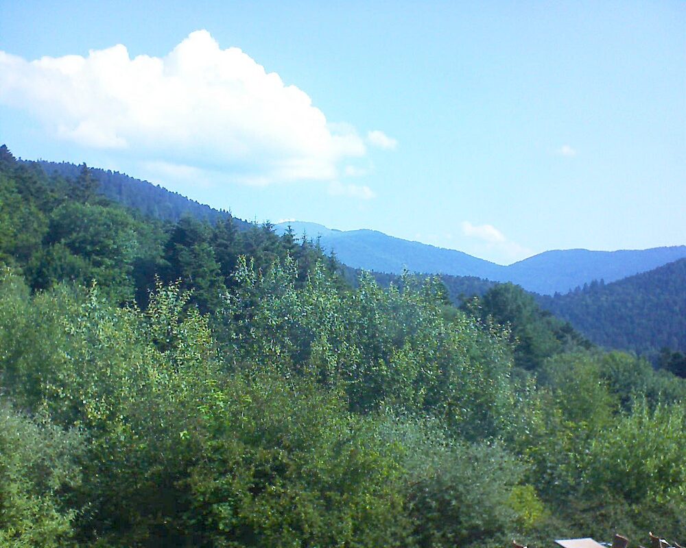 Le petit ballon vu depuis le Domaine Langmatt à Murbach le 26.06.2024 à 09:45 Le petit ballon (Alsace, Vosges) le 26.06.2024 à 09:45