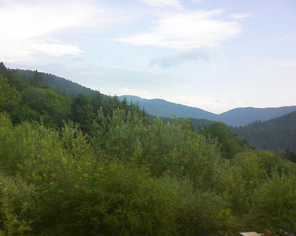 Le petit ballon vu depuis le Domaine Langmatt à Murbach le 28.06.2024 à 08:45 Le petit ballon (Alsace, Vosges) le 28.06.2024 à 08:45