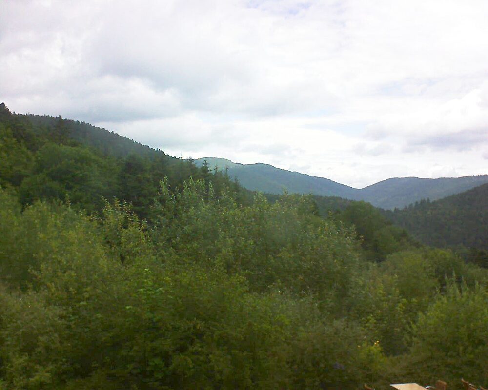 Le petit ballon vu depuis le Domaine Langmatt à Murbach le 01.07.2024 à 10:45 Le petit ballon (Alsace, Vosges) le 01.07.2024 à 10:45
