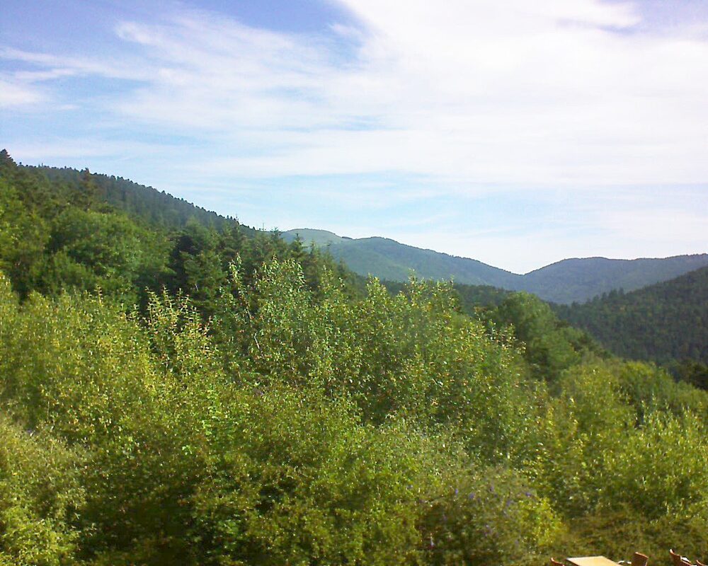 Le petit ballon vu depuis le Domaine Langmatt à Murbach le 05.07.2024 à 09:45 Le petit ballon (Alsace, Vosges) le 05.07.2024 à 09:45