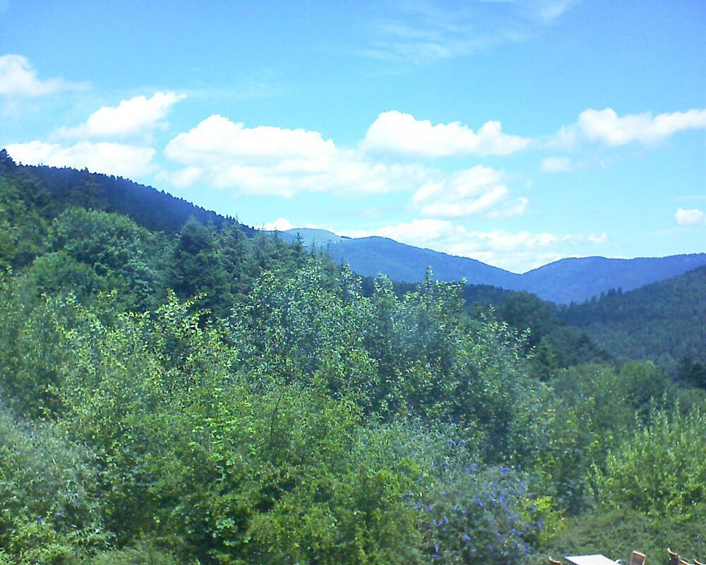 Le petit ballon vu depuis le Domaine Langmatt à Murbach le 08.07.2024 à 12:45 Le petit ballon (Alsace, Vosges) le 08.07.2024 à 12:45