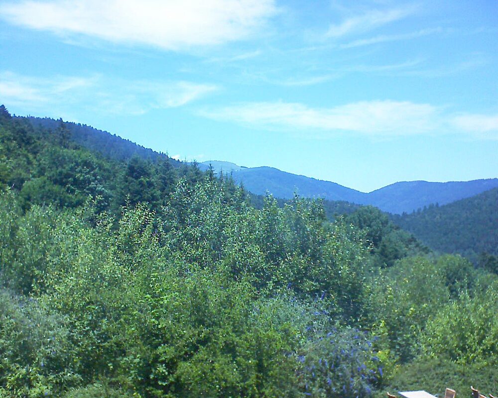 Le petit ballon vu depuis le Domaine Langmatt à Murbach le 09.07.2024 à 13:45 Le petit ballon (Alsace, Vosges) le 09.07.2024 à 13:45