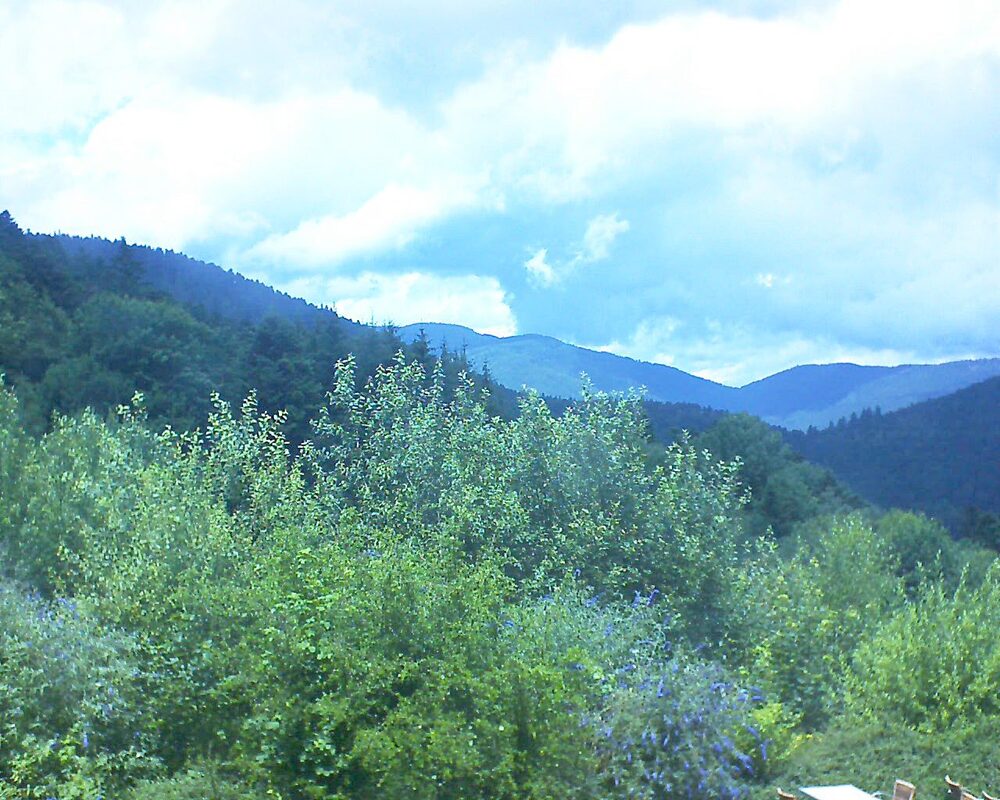 Le petit ballon vu depuis le Domaine Langmatt à Murbach le 10.07.2024 à 13:45 Le petit ballon (Alsace, Vosges) le 10.07.2024 à 13:45