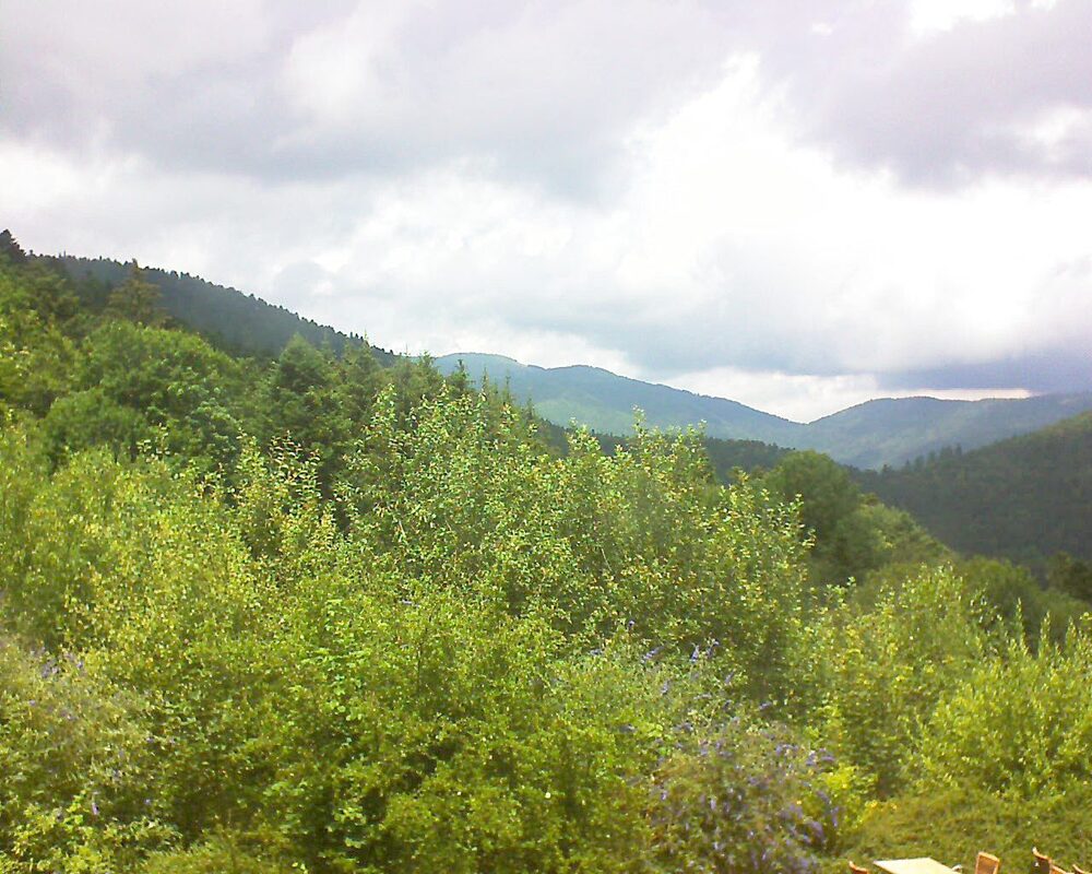 Le petit ballon vu depuis le Domaine Langmatt à Murbach le 11.07.2024 à 13:30 Le petit ballon (Alsace, Vosges) le 11.07.2024 à 13:30
