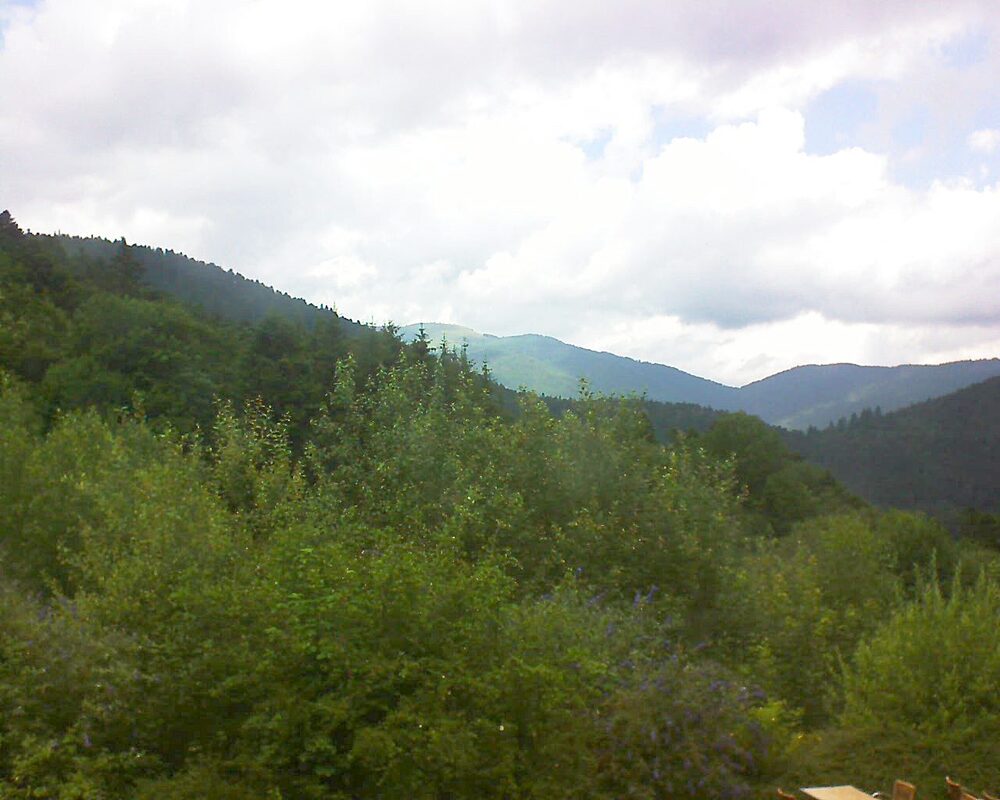 Le petit ballon vu depuis le Domaine Langmatt à Murbach le 11.07.2024 à 13:45 Le petit ballon (Alsace, Vosges) le 11.07.2024 à 13:45