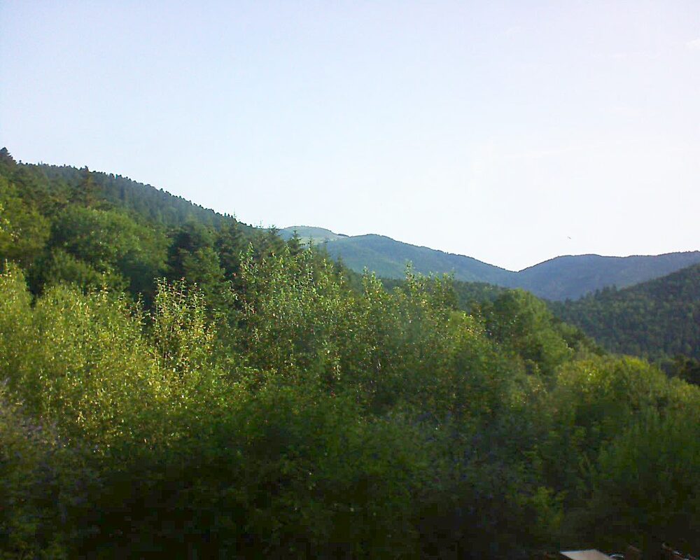 Le petit ballon vu depuis le Domaine Langmatt à Murbach le 15.07.2024 à 08:45 Le petit ballon (Alsace, Vosges) le 15.07.2024 à 08:45