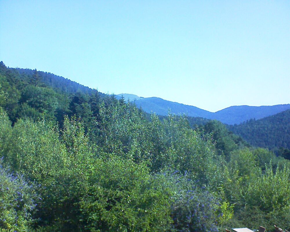 Le petit ballon vu depuis le Domaine Langmatt à Murbach le 15.07.2024 à 09:45 Le petit ballon (Alsace, Vosges) le 15.07.2024 à 09:45