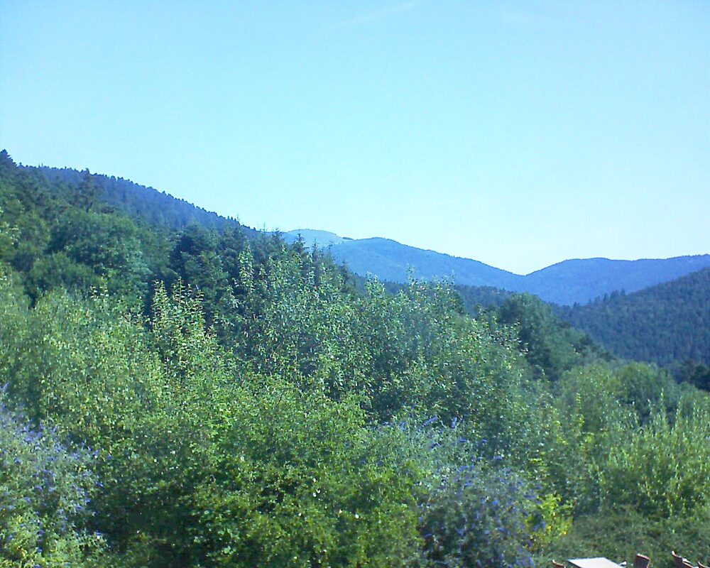 Le petit ballon vu depuis le Domaine Langmatt à Murbach le 15.07.2024 à 10:45 Le petit ballon (Alsace, Vosges) le 15.07.2024 à 10:45