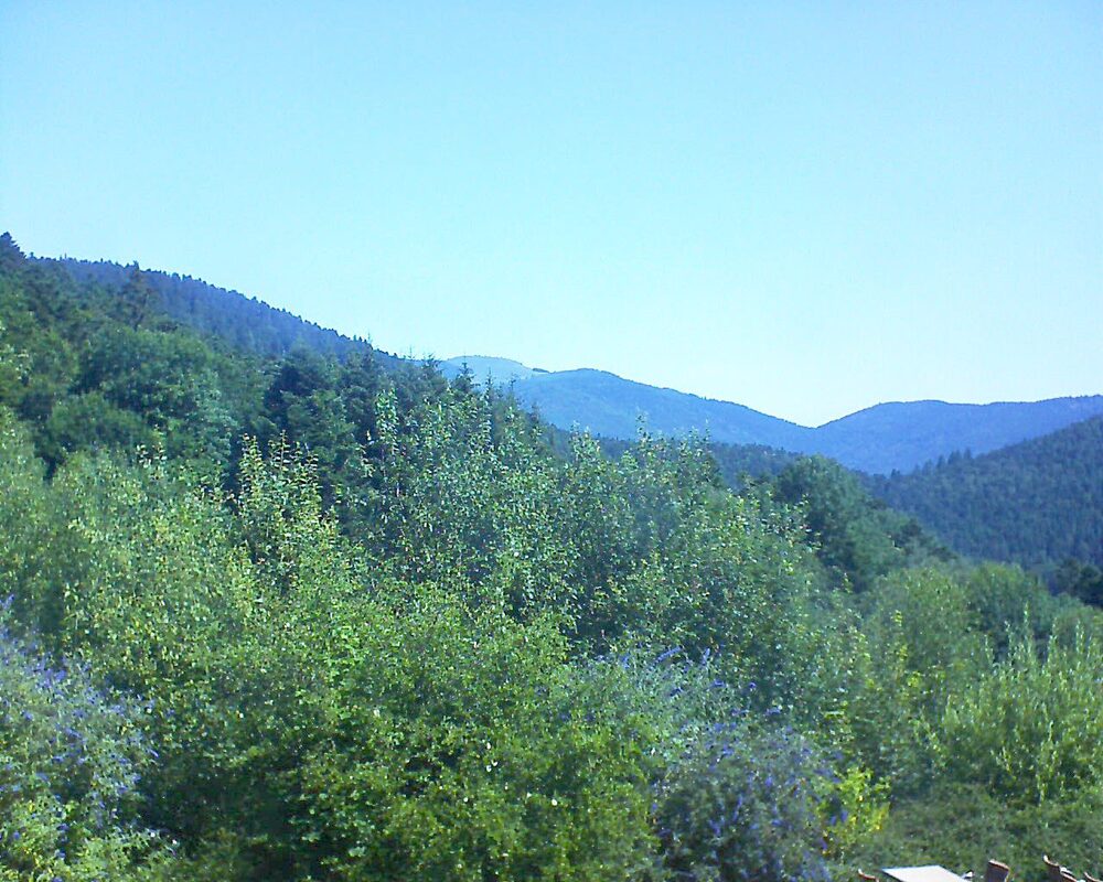 Le petit ballon vu depuis le Domaine Langmatt à Murbach le 15.07.2024 à 11:00 Le petit ballon (Alsace, Vosges) le 15.07.2024 à 11:00