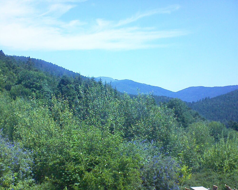 Le petit ballon vu depuis le Domaine Langmatt à Murbach le 15.07.2024 à 11:45 Le petit ballon (Alsace, Vosges) le 15.07.2024 à 11:45