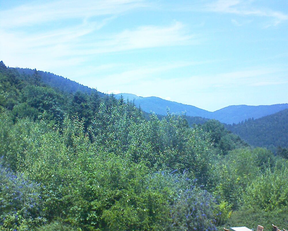 Le petit ballon vu depuis le Domaine Langmatt à Murbach le 15.07.2024 à 13:45 Le petit ballon (Alsace, Vosges) le 15.07.2024 à 13:45
