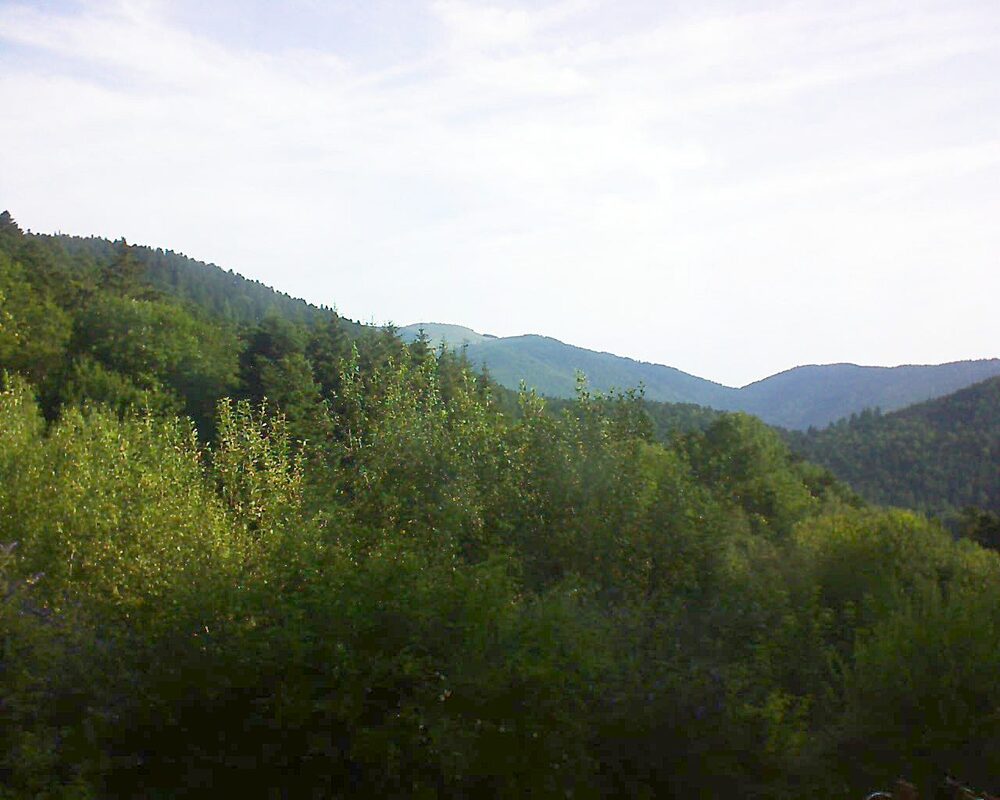 Le petit ballon vu depuis le Domaine Langmatt à Murbach le 18.07.2024 à 08:45 Le petit ballon (Alsace, Vosges) le 18.07.2024 à 08:45