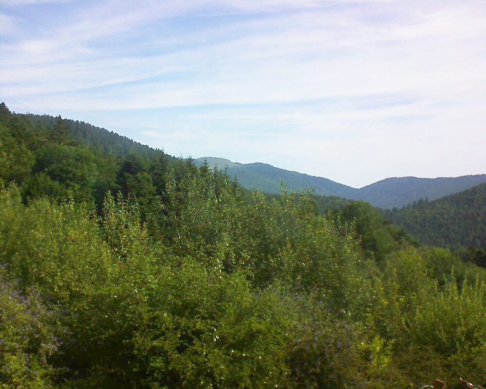 Le petit ballon vu depuis le Domaine Langmatt à Murbach le 18.07.2024 à 09:45 Le petit ballon (Alsace, Vosges) le 18.07.2024 à 09:45