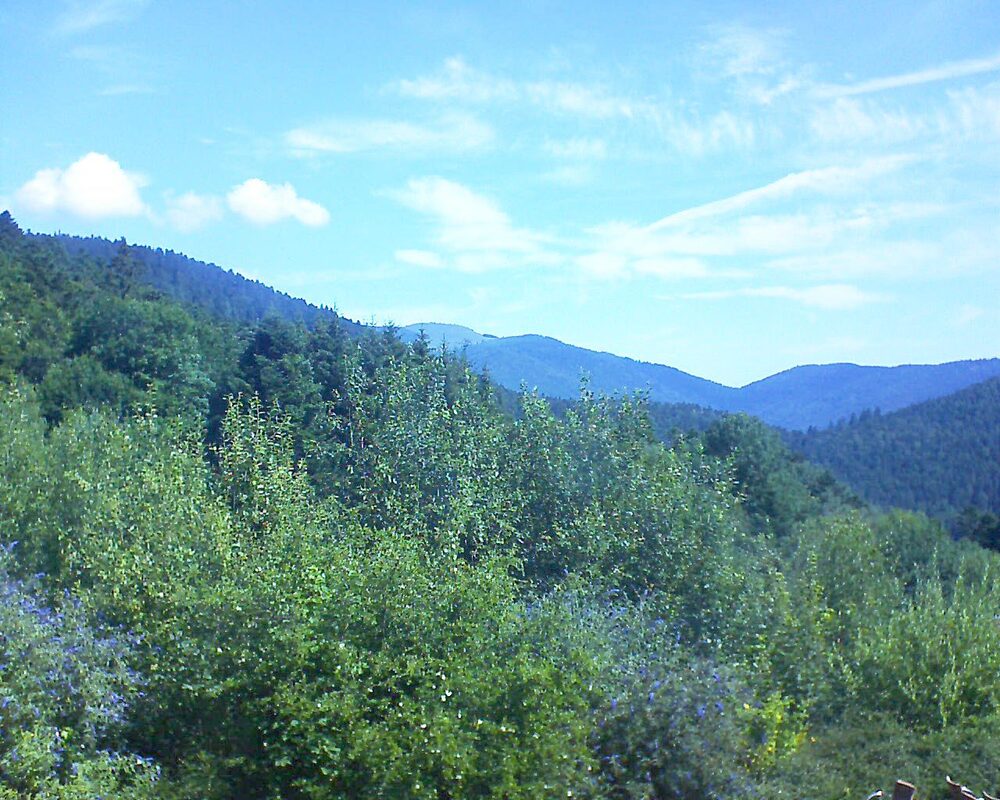 Le petit ballon vu depuis le Domaine Langmatt à Murbach le 18.07.2024 à 11:00 Le petit ballon (Alsace, Vosges) le 18.07.2024 à 11:00