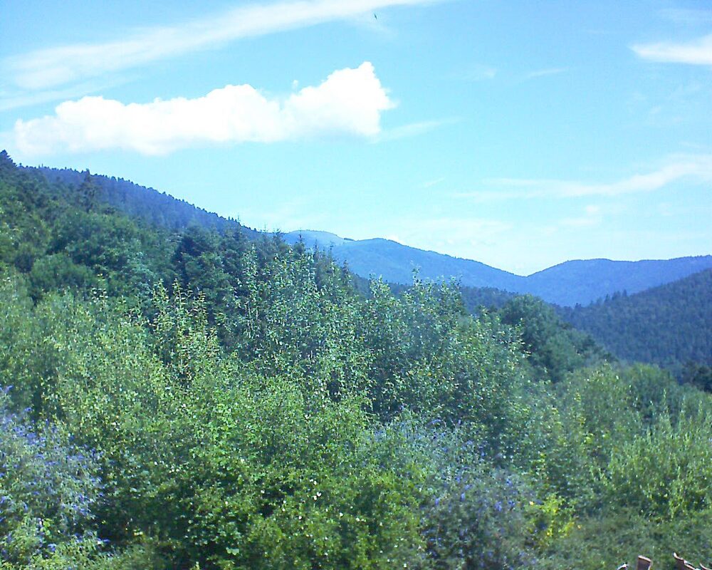 Le petit ballon vu depuis le Domaine Langmatt à Murbach le 18.07.2024 à 11:45 Le petit ballon (Alsace, Vosges) le 18.07.2024 à 11:45