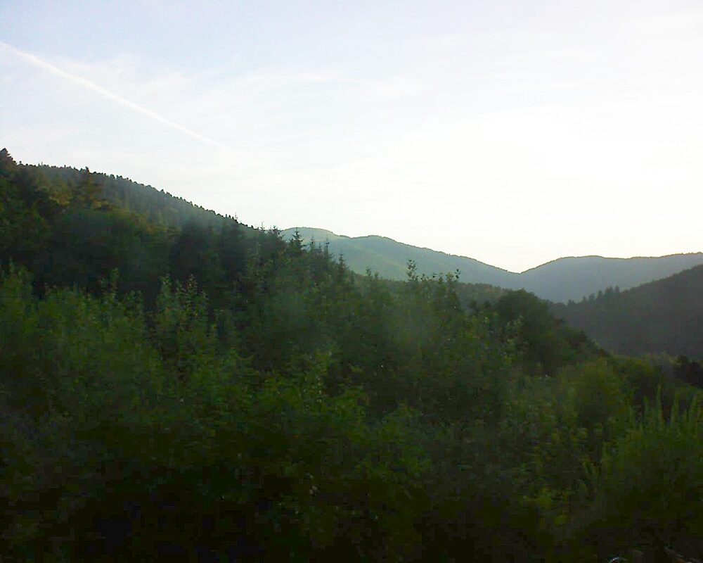 Le petit ballon vu depuis le Domaine Langmatt à Murbach le 19.07.2024 à 06:45 Le petit ballon (Alsace, Vosges) le 19.07.2024 à 06:45